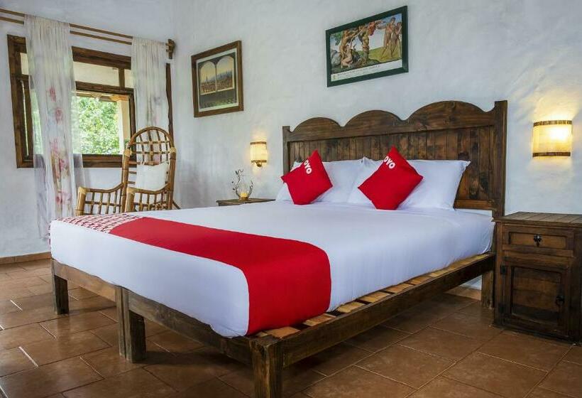 اتاق سوپریور, Posada La Querencia