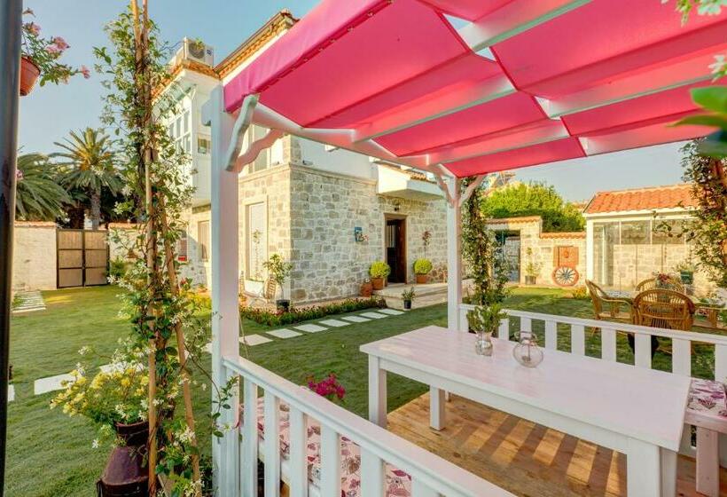 اتاق استاندارد, Bellapi̇etra