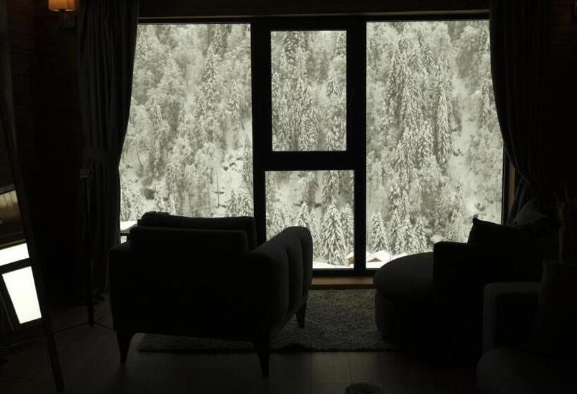 سوئیت با چشم‌انداز, Ayder Villa De Pelit