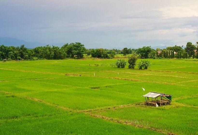 اتاق سوپریور, Kyp Khunyuw Place Hotel โรงแรมเควายพี ขุนยูวเพลส ฝาง