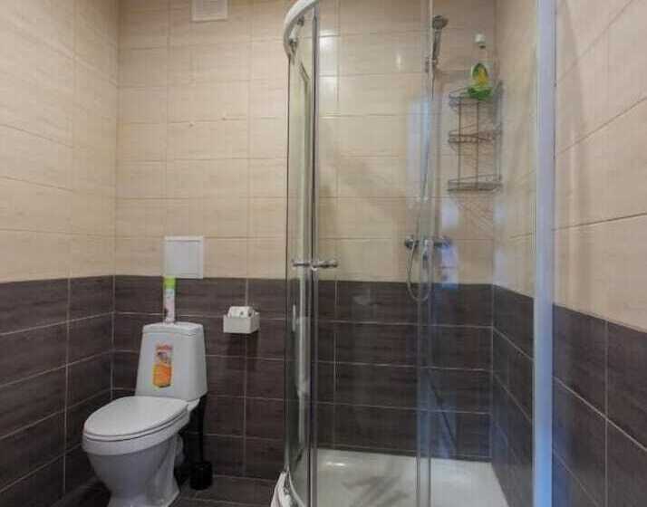 استودیوی استاندارد, Apartment Vyborg