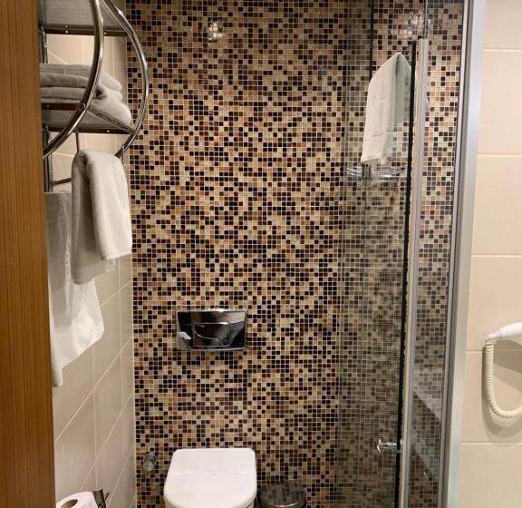 اتاق استاندارد, City Hotel Plovdiv