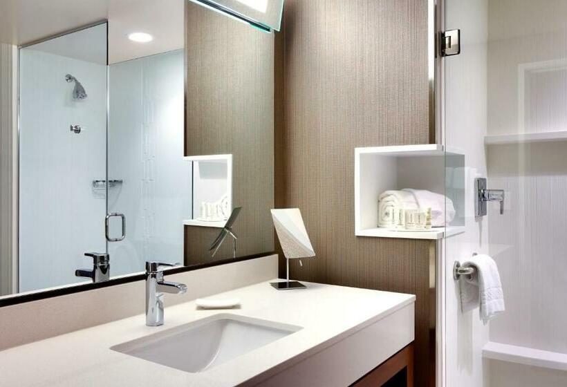 스탠다드 룸 킹사이즈 침대, Courtyard By Marriott Denver North/westminster