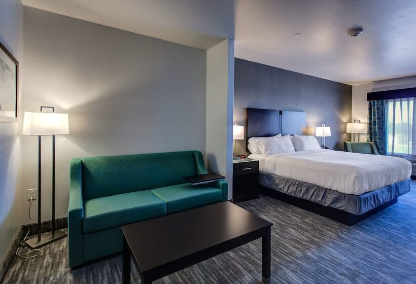 Люкс Адаптированный для Инвалидов, Holiday Inn Express & Suites Gatesville   N. Ft Hood, An Ihg