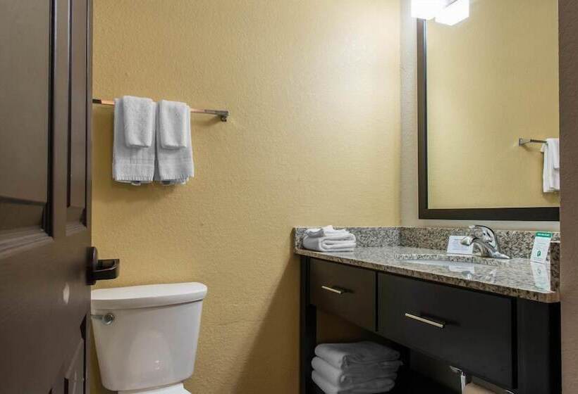 Suíte, Mainstay Suites Stanley
