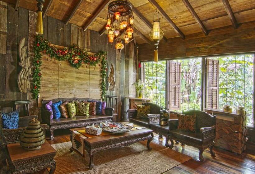 Номер Стандарт, Fig Tree Hills Resort