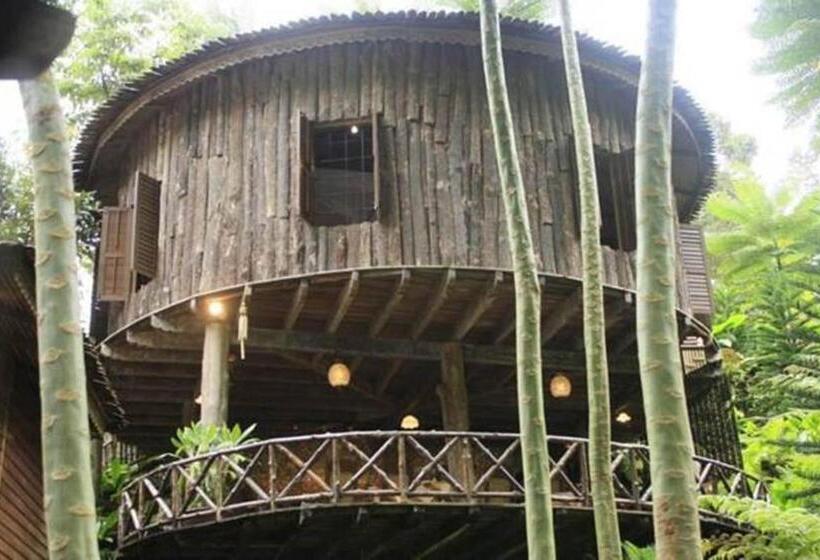 Номер Стандарт, Fig Tree Hills Resort