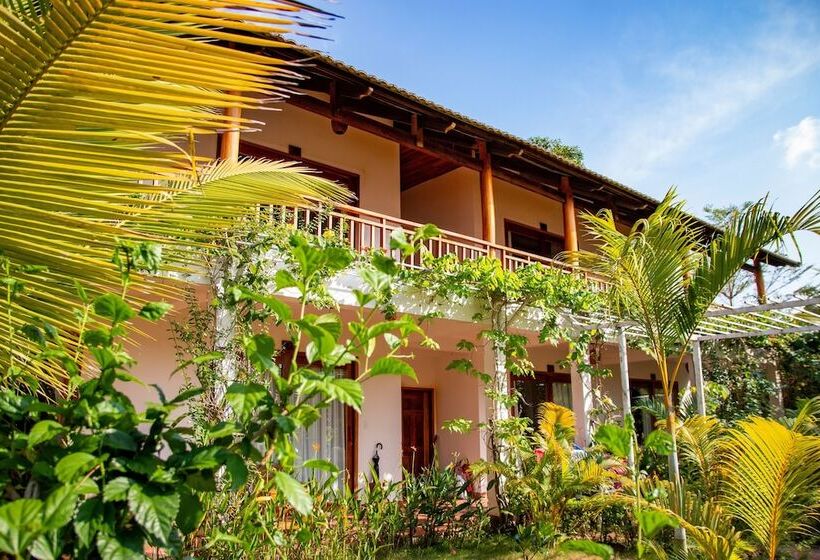 اتاق سوپریور با چشم‌انداز باغ, La Casa Resort