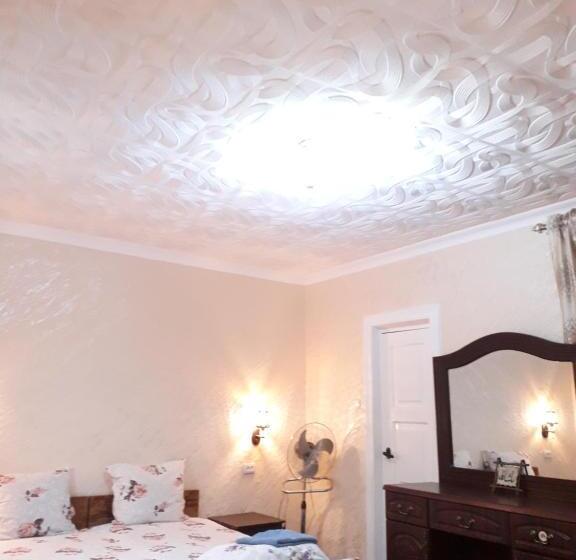 标准单人间, B&b Bahodir