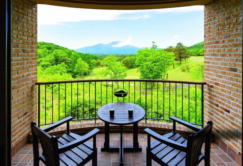 Номер Комфорт, Karuizawa Asama Prince