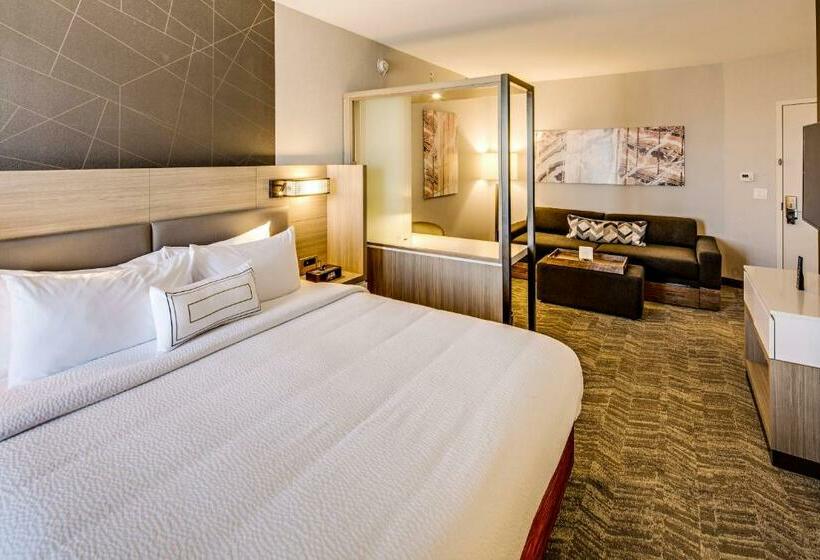 Президентский Люкс, Springhill Suites By Marriott Dayton Vandalia