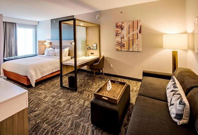 Люкс Кровать Кинг, Springhill Suites By Marriott Dayton Vandalia