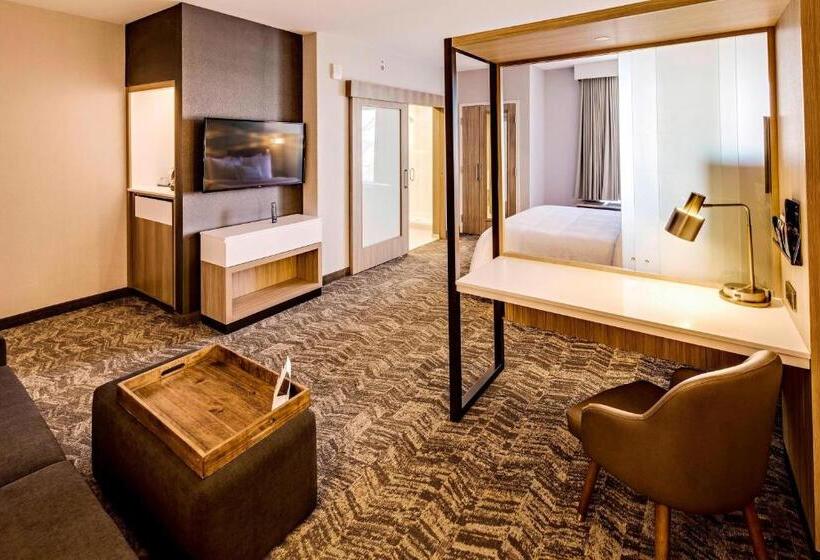 Президентский Люкс, Springhill Suites By Marriott Dayton Vandalia