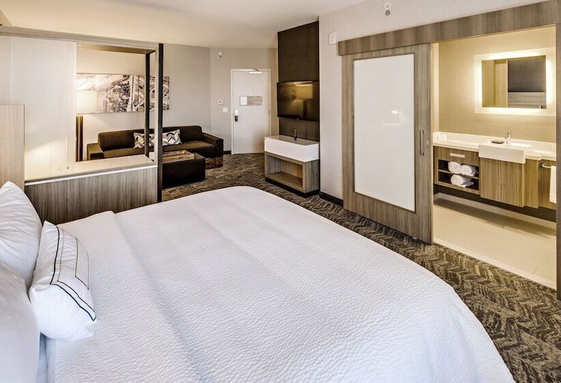 Люкс, Springhill Suites By Marriott Dayton Vandalia