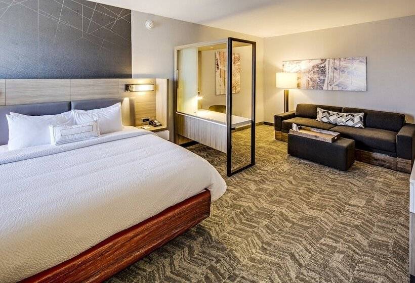 Люкс, Springhill Suites By Marriott Dayton Vandalia