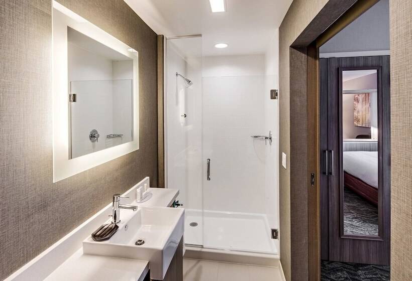Люкс, Springhill Suites By Marriott Dayton Vandalia