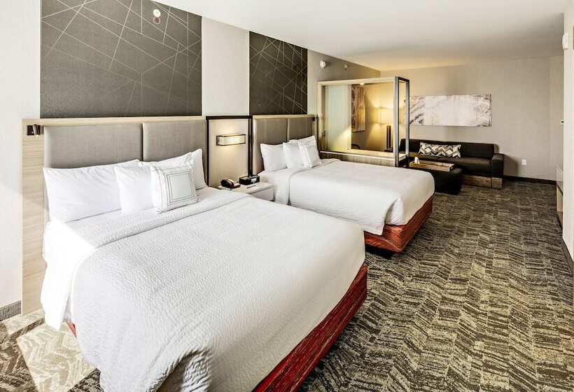 Президентский Люкс, Springhill Suites By Marriott Dayton Vandalia