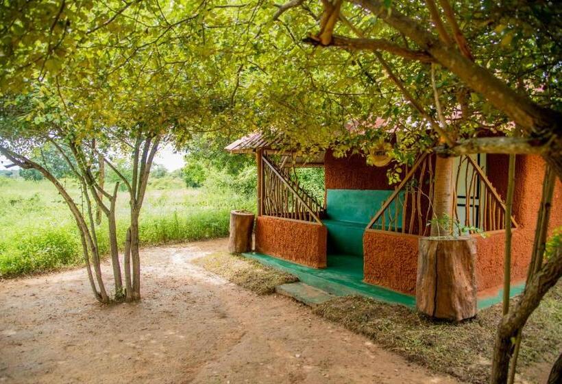 Номер Стандарт Вид на Сад, Animal View Point Yala