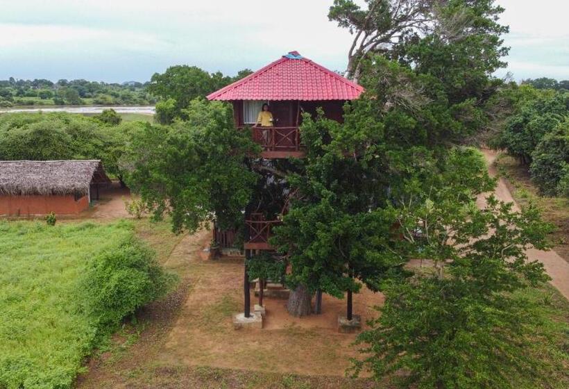 Номер Стандарт с Балконом, Animal View Point Yala
