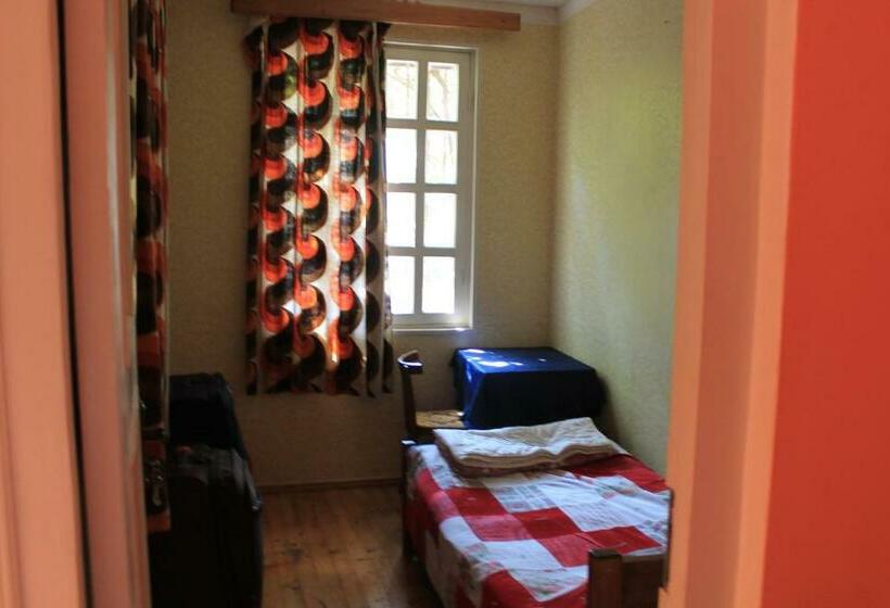 اتاق اکونومی یک تخته, Hostel Old City Sololaki