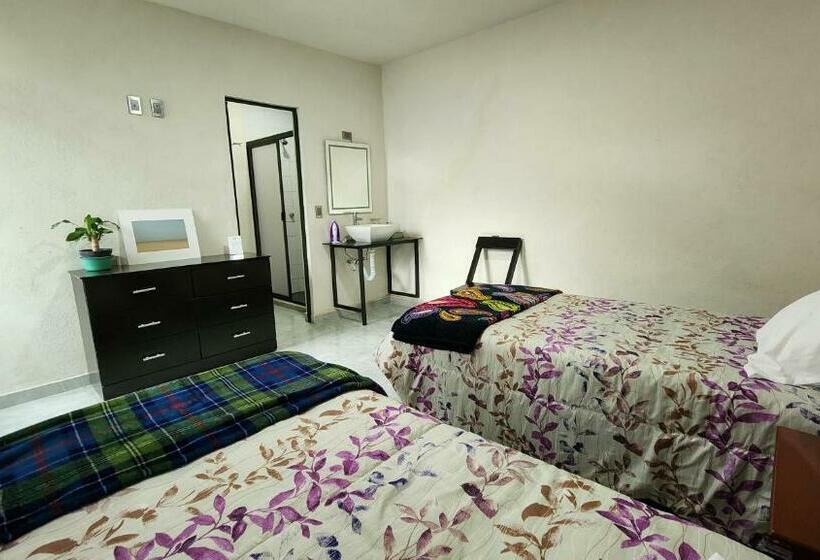スタンダードルーム, La Palma Coliving