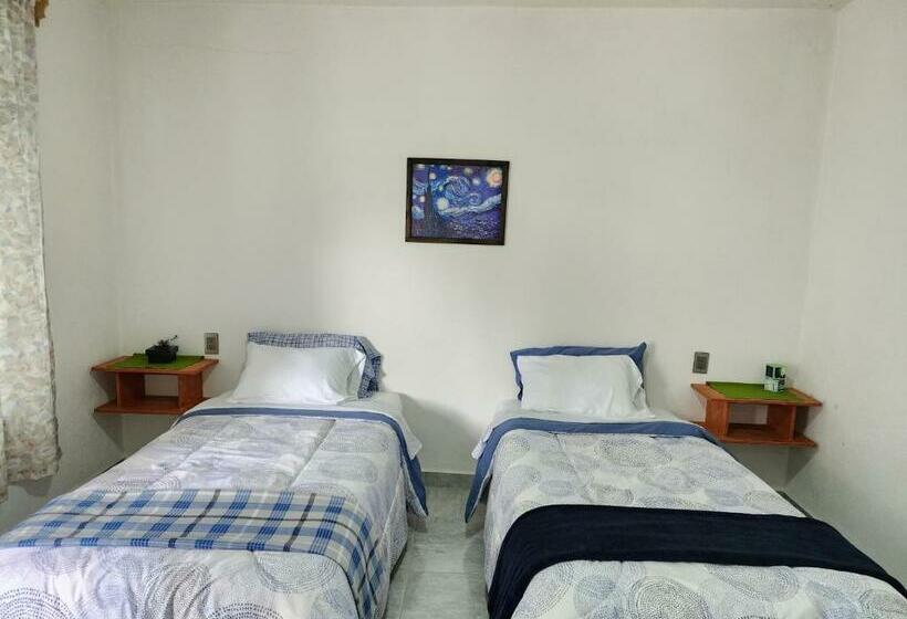 スタンダードルーム, La Palma Coliving