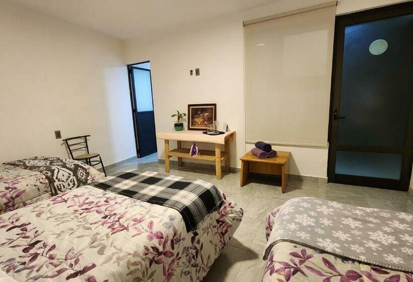 スタンダードトリプルルーム, La Palma Coliving