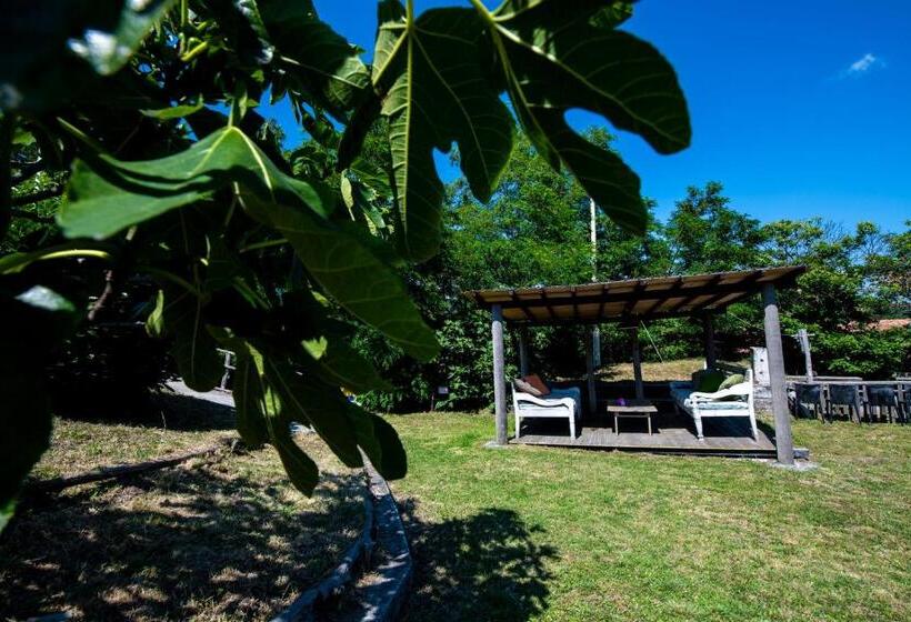 Номер Стандарт Трехместный, 202   Camera Mansardata Tra Le Cinque Terre E Portofino   Residence Cherry House