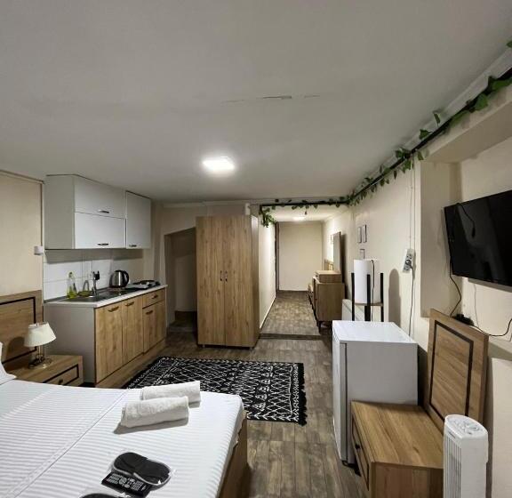 Трехместный Номер Стандарт Вид на Сад, Taksim Nikea Suites 80