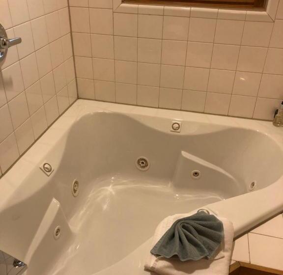 Люкс 2 Спальни, All Seasons Inn