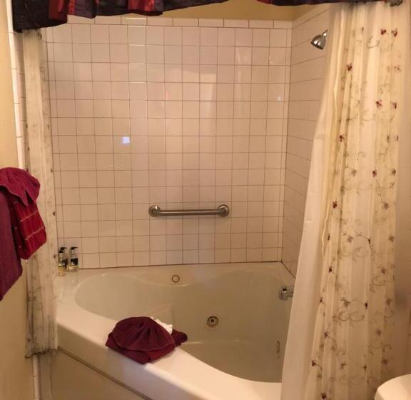 Люкс, All Seasons Inn