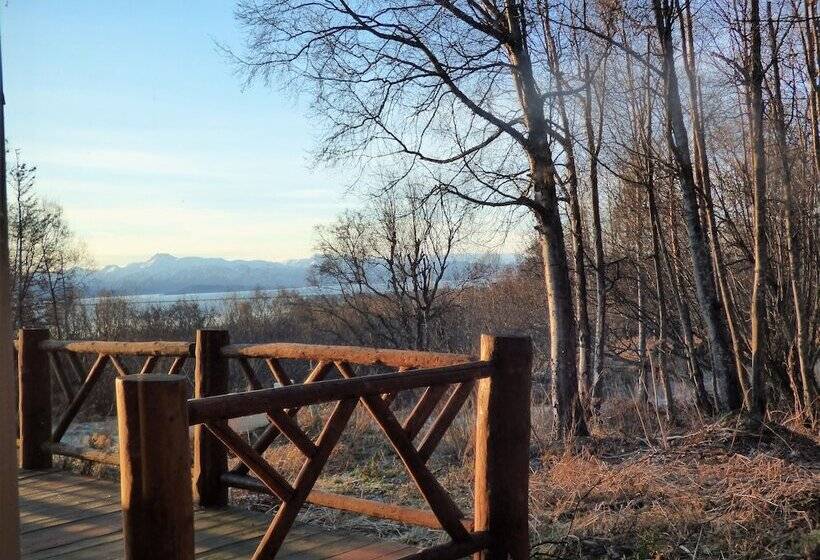Номер Стандарт, Juneberry Lodge