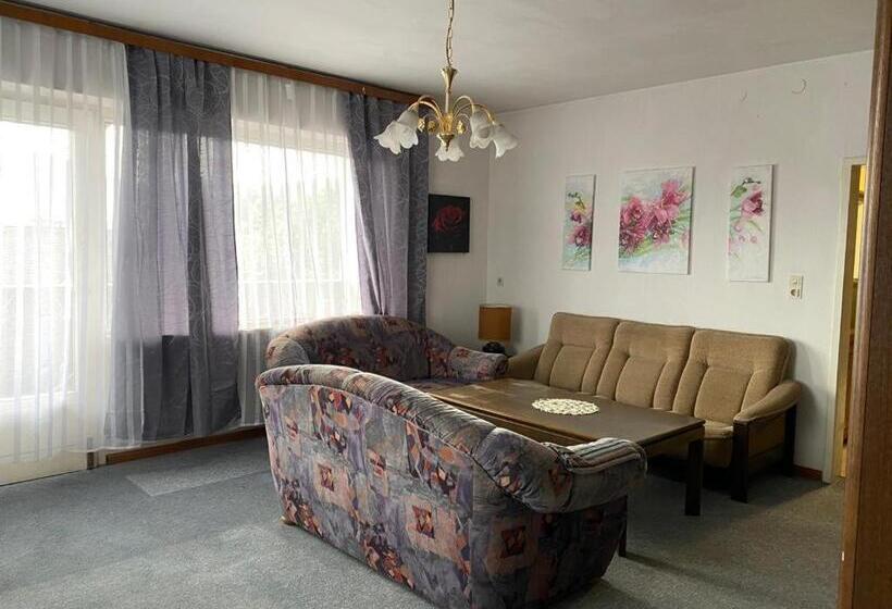 Апартаменты 3 Спальни, Apartment Nähe Linz
