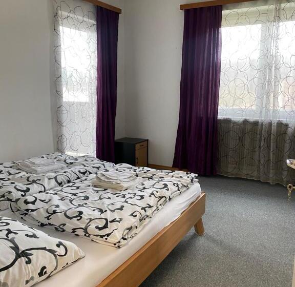 Апартаменты 3 Спальни, Apartment Nähe Linz