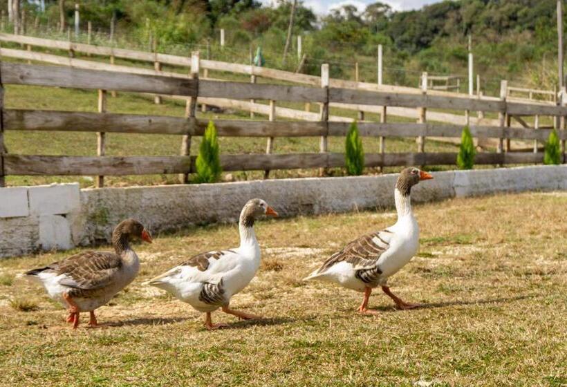 1 베드룸 수피리어 스위트, Chale Em Curitiba   Chales Portugal