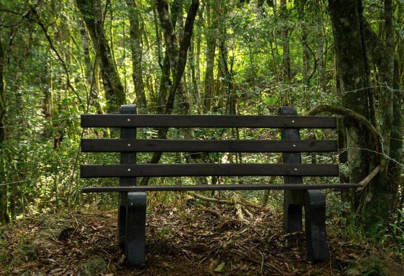 1 베드룸 수피리어 스위트, Chale Em Curitiba   Chales Portugal