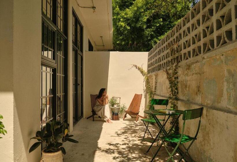 استودیوی لوکس, Paz By Dw