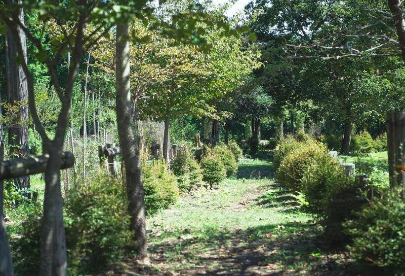 غرفة ديلوكس, 泊まれる公園 Inn The Park