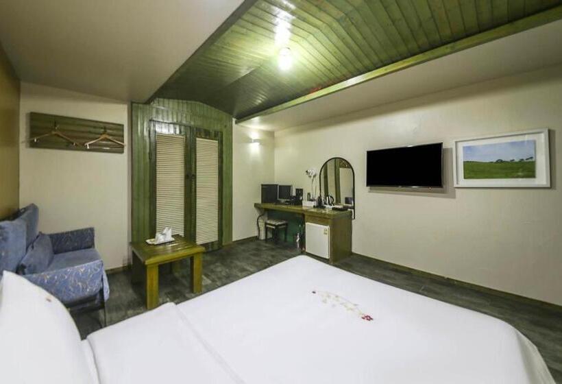 اتاق لوکس, Cheongju Ochang Memory Stay