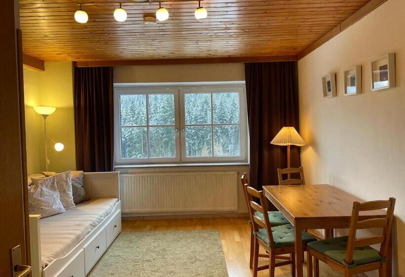 Семейный Номер, Pension 's Waldeck