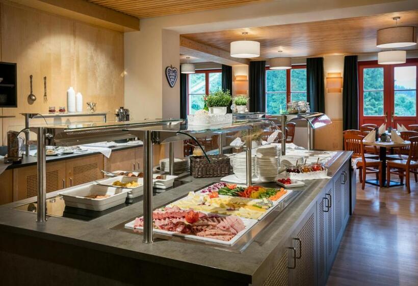 스탠다드 싱글 룸, Jufa Hotel Mariazell