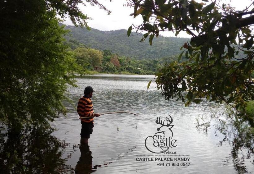 Номер Стандарт Вид на Озеро, Kings Green Castle Kandy