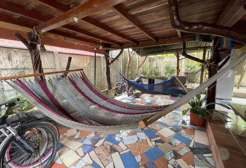 스탠다드 룸, Malinche Hostel