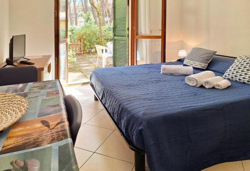 اتاق استاندارد با تخت بزرگ, Pineta Azzurra