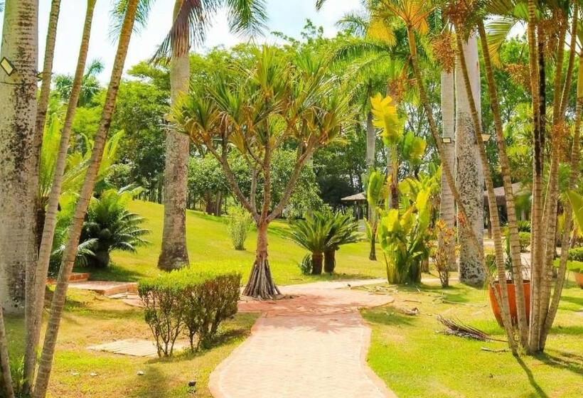 스탠다드 방갈로 정원 전망, Resort Das Oliveiras