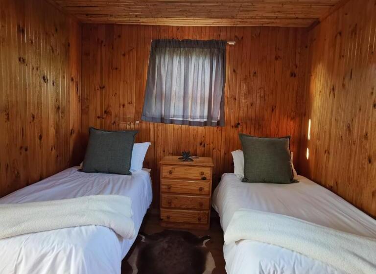 Номер Deluxe, Osberg Safari S