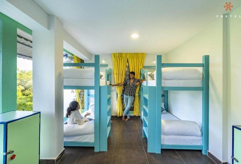 تختخواب در اتاق سوپریور مشترک, Zostel Pondicherry, Auroville Road