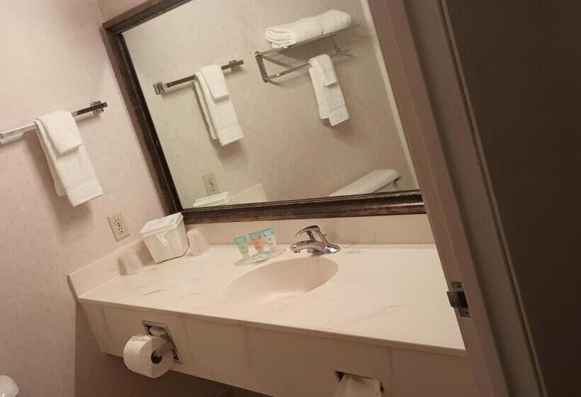 استودیو استاندارد با تخت کینگ, Colony Inn