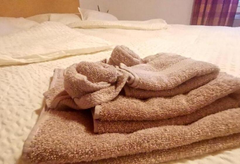 Номер Стандарт с Террасой, Il Fiore Hotel Steinach Sg