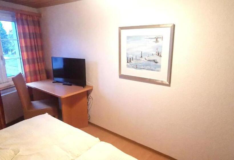 Номер Стандарт, Il Fiore Hotel Steinach Sg